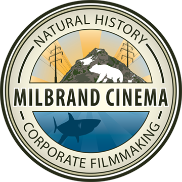 Milbrand Cinema