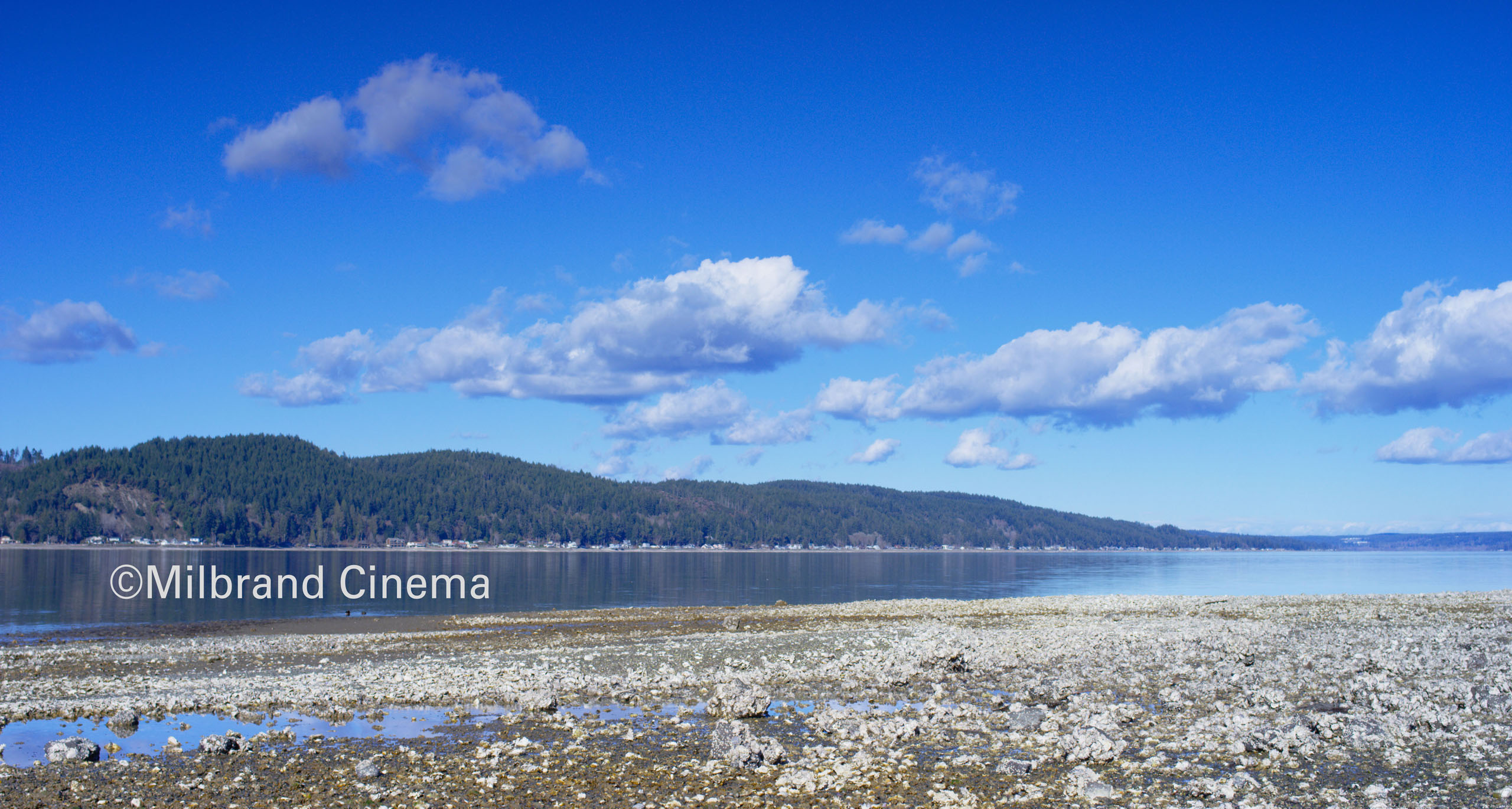 ©Milbrand Cinema Oyster Beach