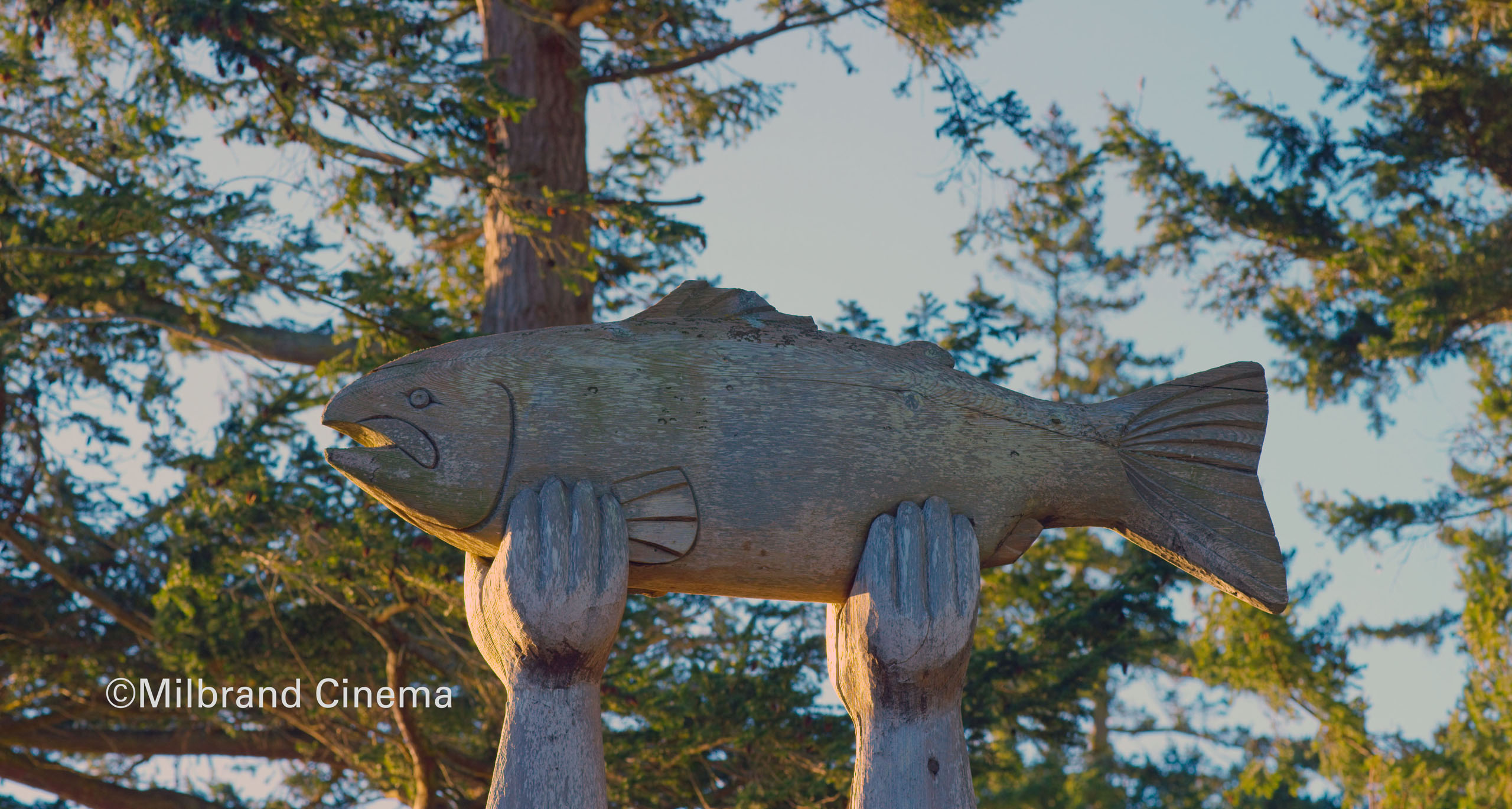 ©Milbrand Cinema Tribal Salmon